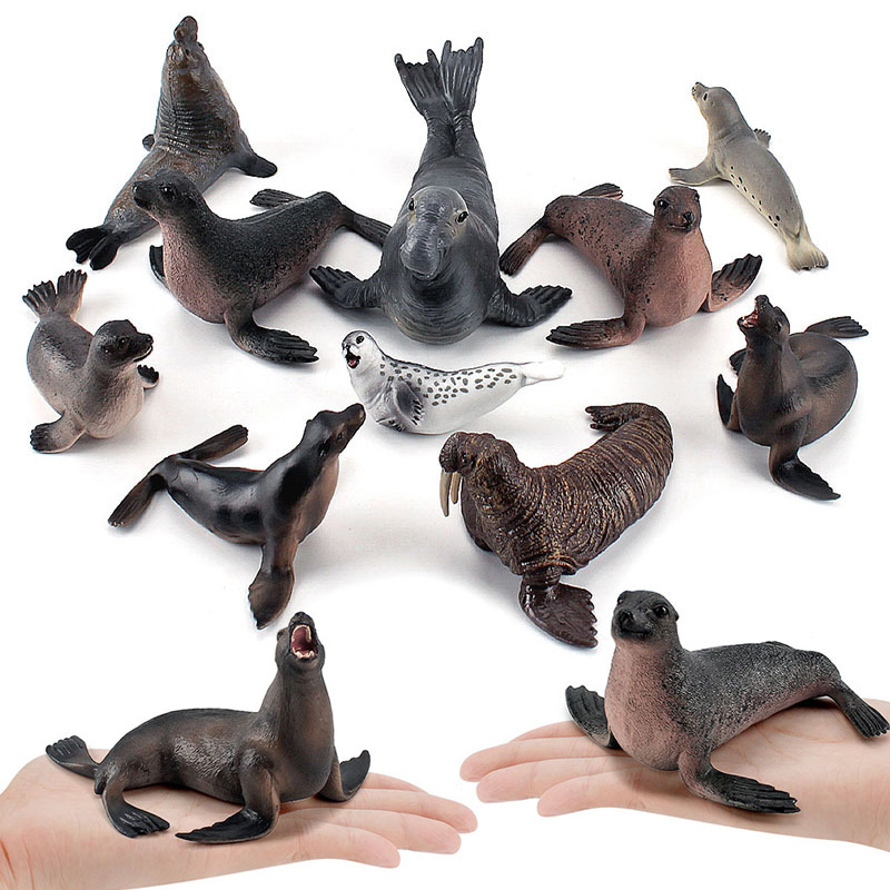 Marine Life Aquariums - Simulation Ocean Animal Seals Sea Lions