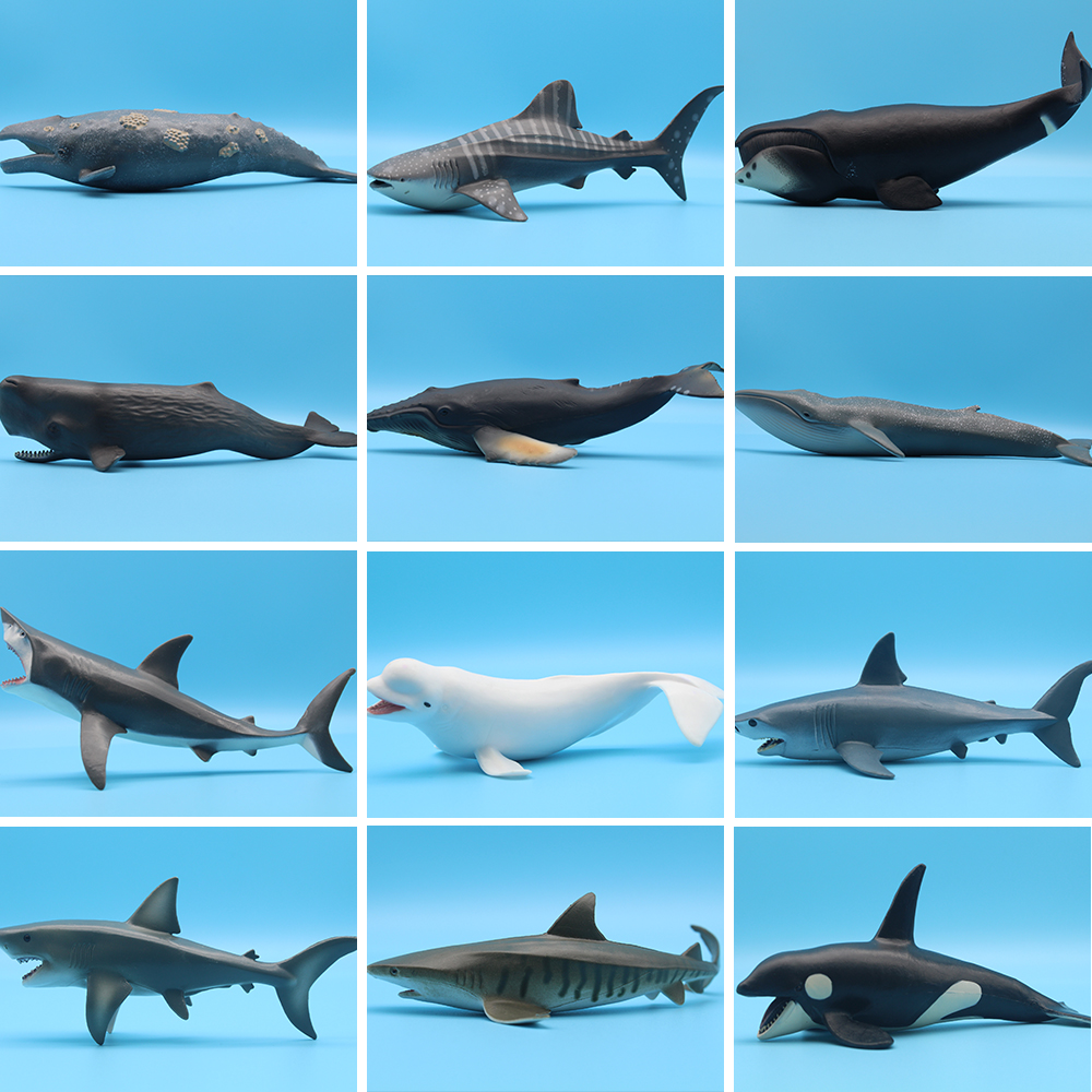 Marine Life Aquariums - Ocean Sea Life Simulation Killer Whale