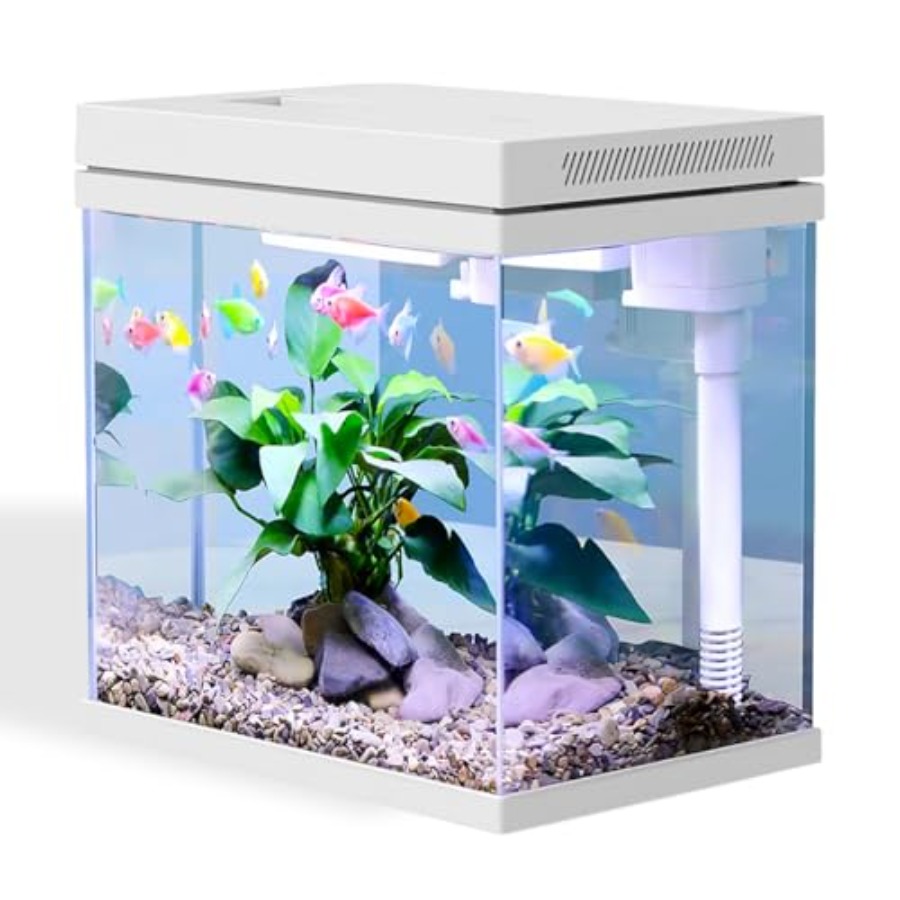 Marine Aquarium Tanks - Fish Tank 2.5 Gallon Nano-Aquarium Upgrade