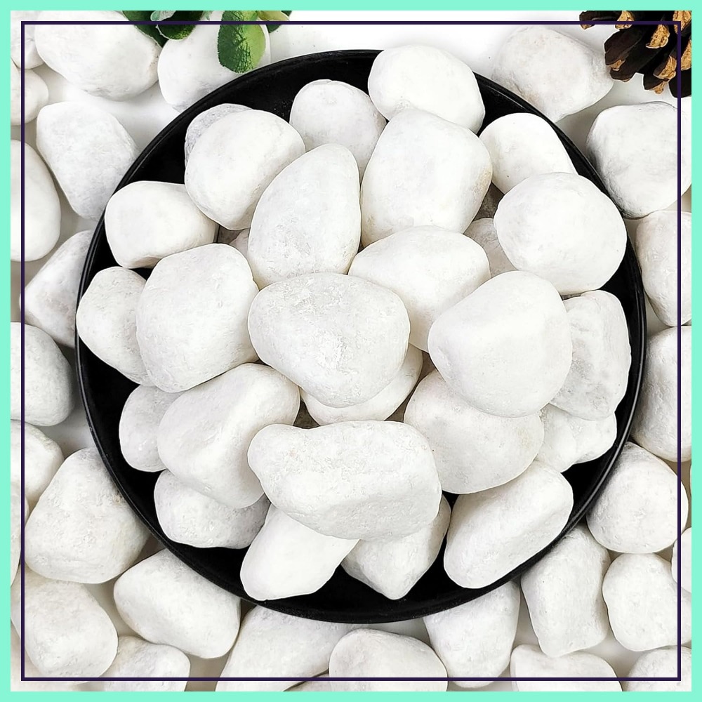 Marine Aquarium Tanks - 1-2 Inch White Pebbles for Indoor