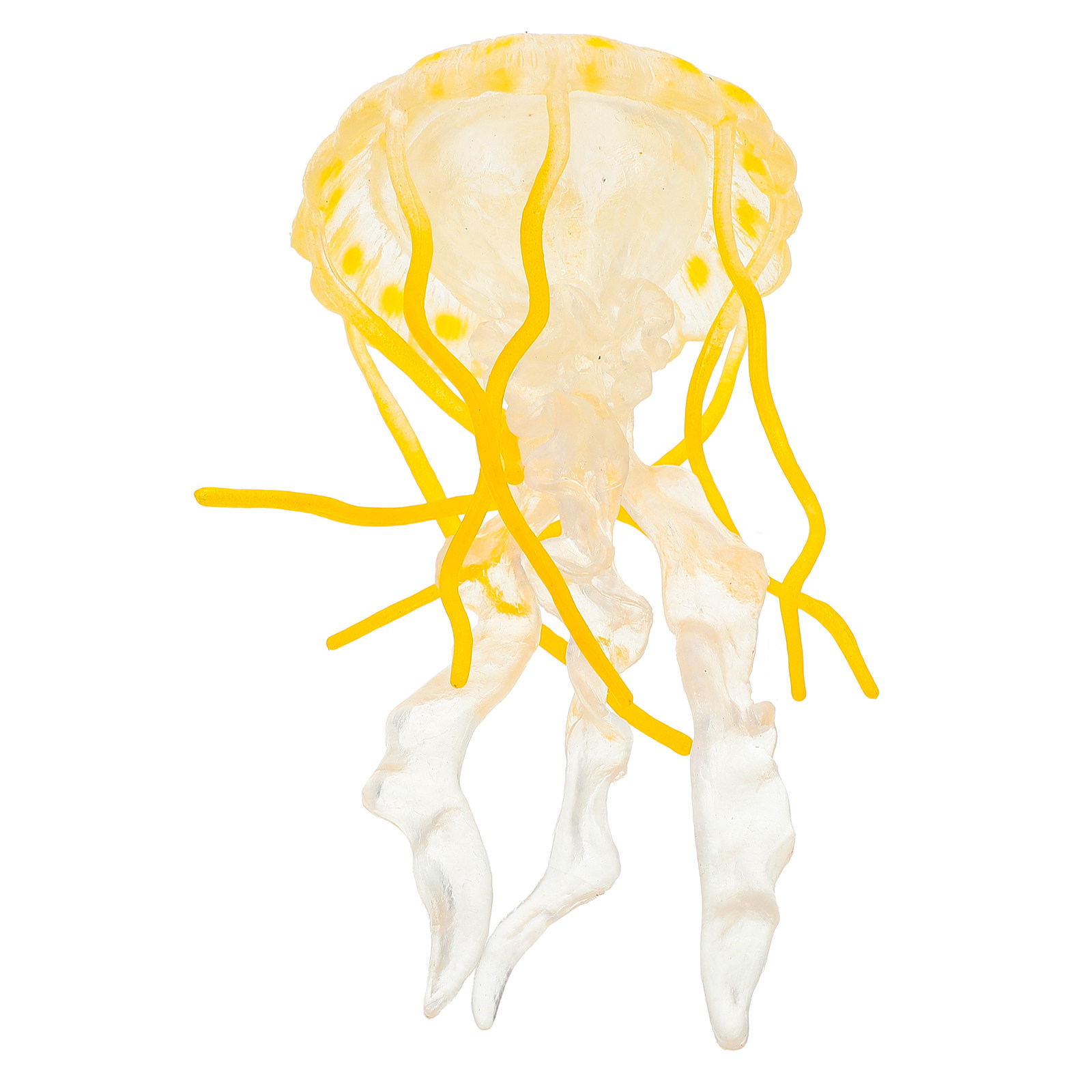 Realistic Jellyfish Simulation - Marine Life Aquariums のレビューと価格
