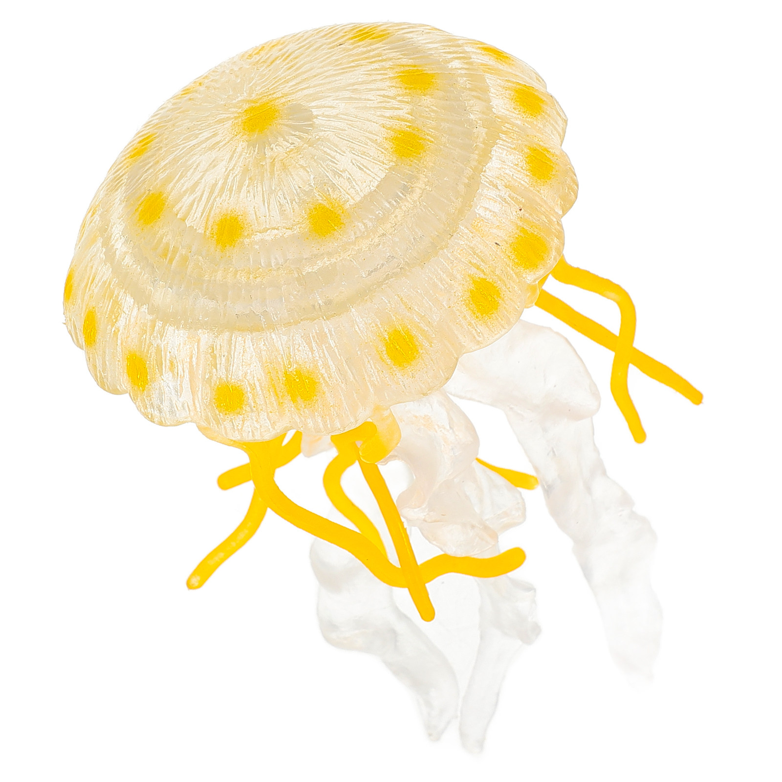 Realistic Jellyfish Simulation - Marine Life Aquariums のレビューと価格