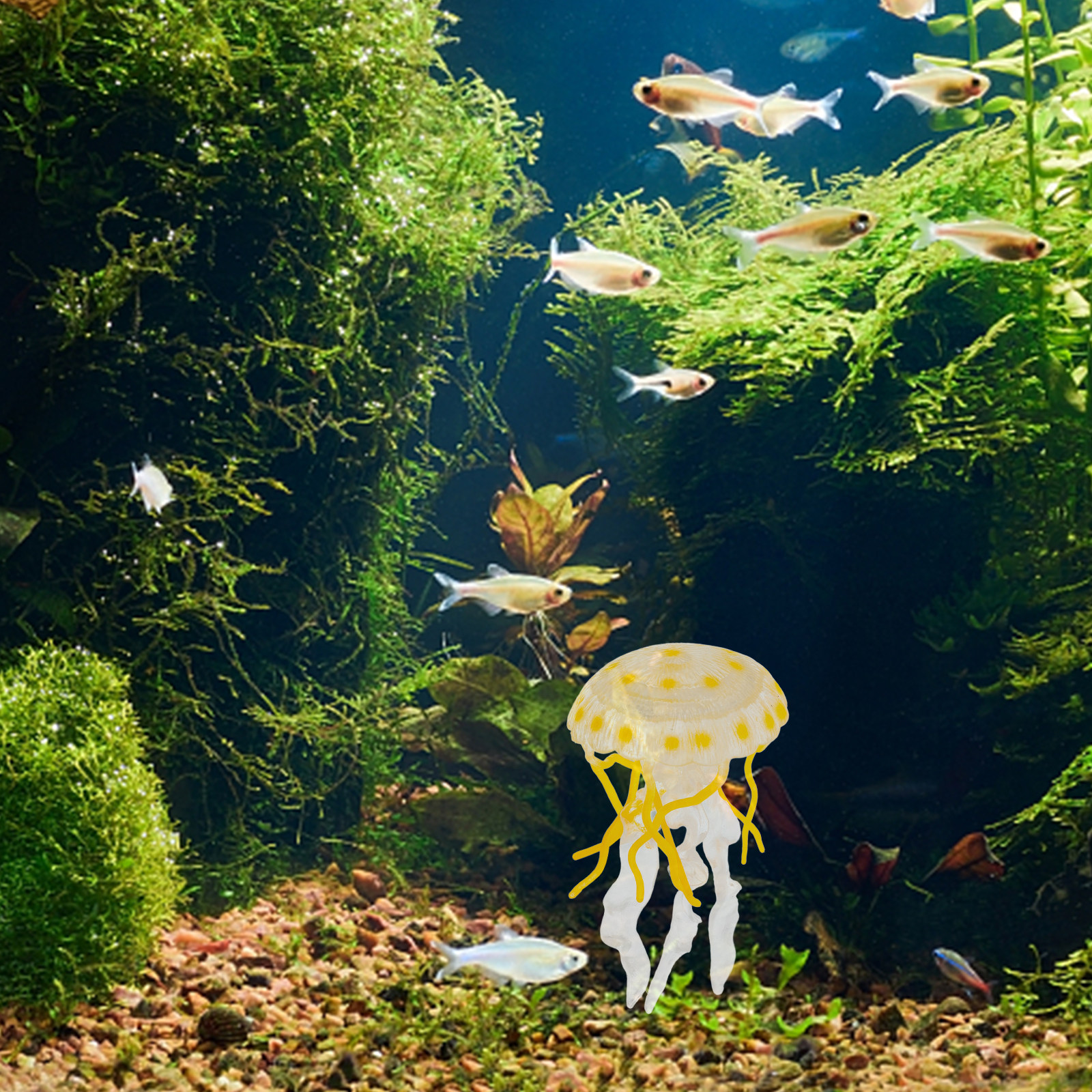 Realistic Jellyfish Simulation - Marine Life Aquariums のレビューと価格