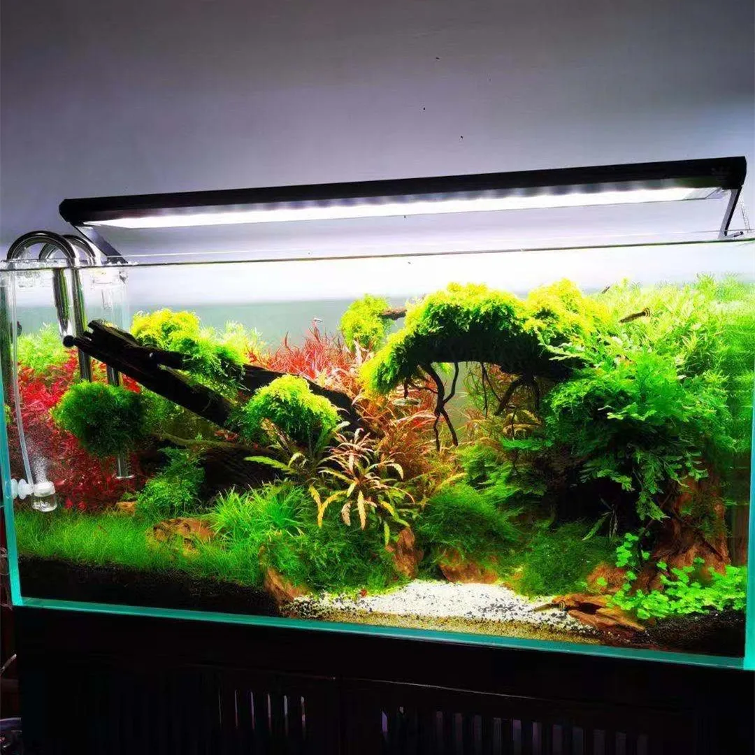 Week Aqua P Series Ver.3 P600  - Marine Aquarium Led Lights のレビューと価格