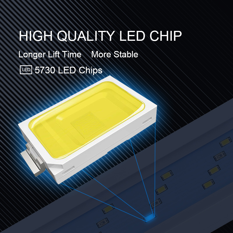 Extensible Waterproof Clip on  - Marine Aquarium Led Lights のレビューと価格