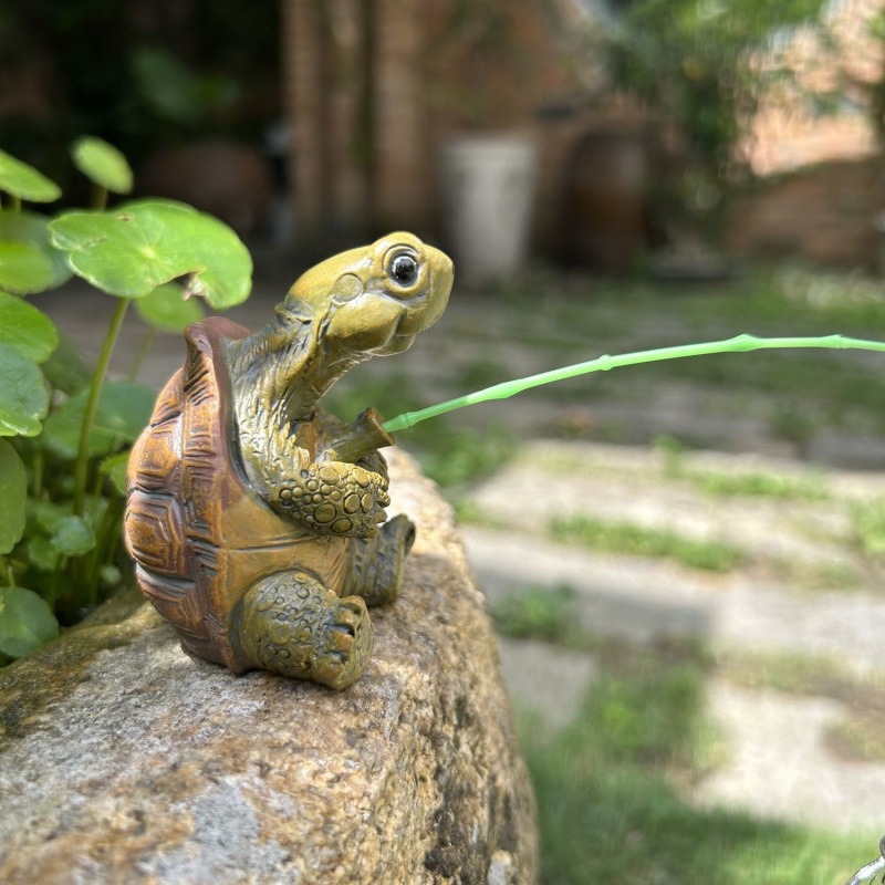Turtle fishing fish tank aquar - Marine Aquarium Tanks のレビューと価格