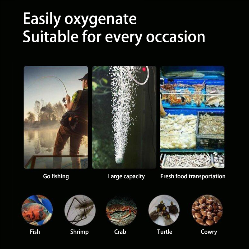 Mini Aquarium Air Pump Kit Oxy - Aquarium Marine Stone のレビューと価格
