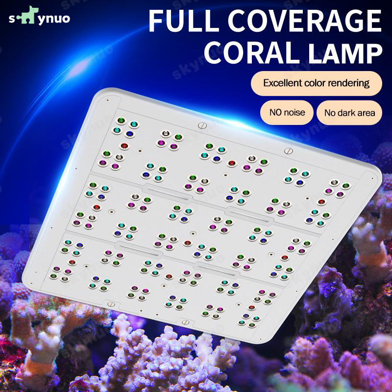 Hot KASSRAY T169/T215 CREEs LE - Marine Aquarium & Regional Centre のレビューと価格