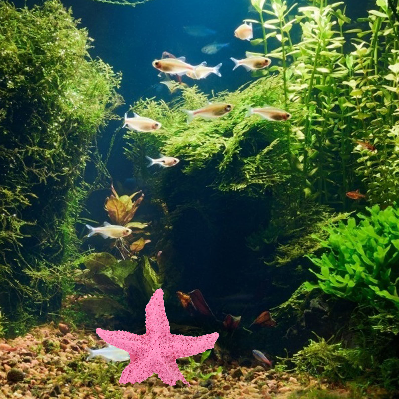 2Pcs Marine Animals Ornament R - Marine Life Aquariums のレビューと価格