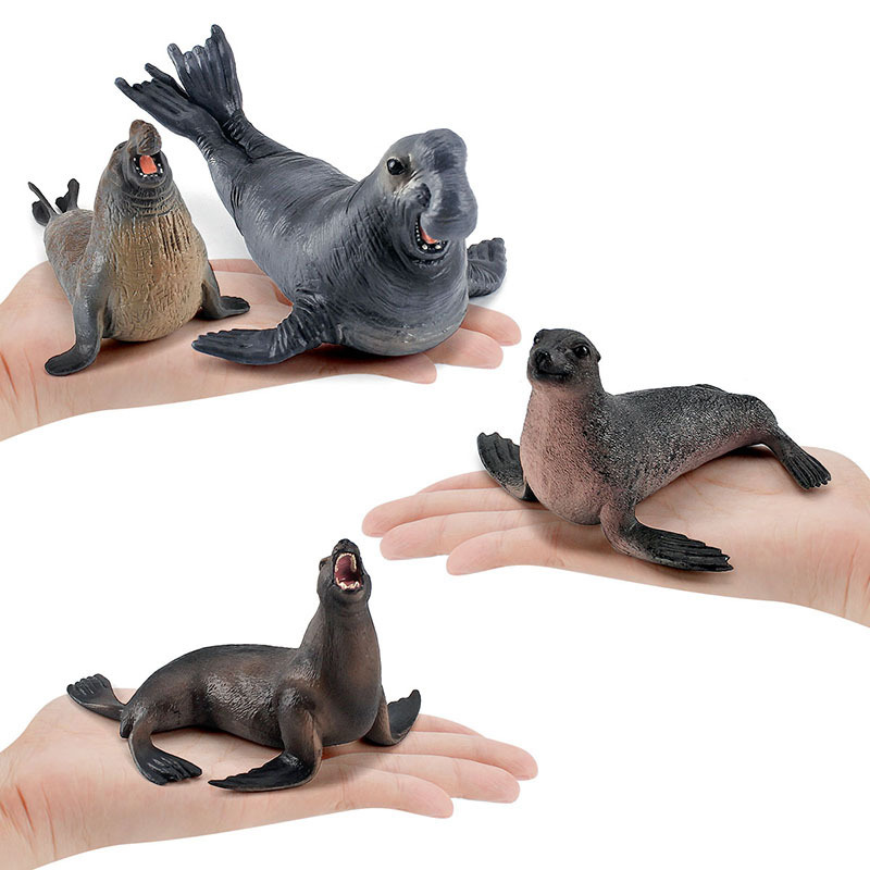 Simulation Ocean Animal Seals  - Marine Life Aquariums のレビューと価格