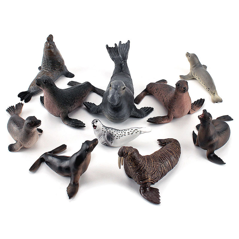 Simulation Ocean Animal Seals  - Marine Life Aquariums のレビューと価格