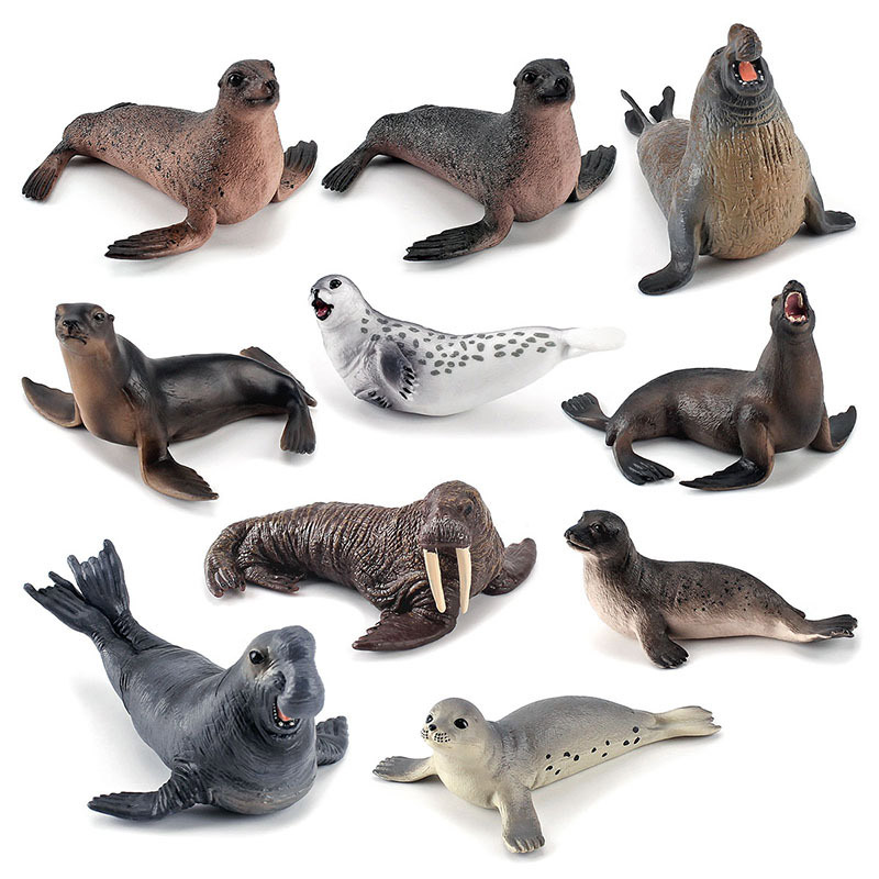 Simulation Ocean Animal Seals  - Marine Life Aquariums のレビューと価格