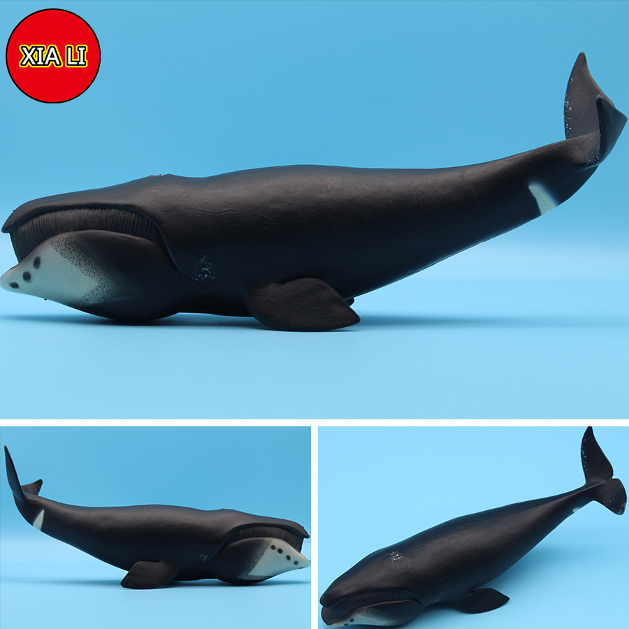 Ocean Sea Life Simulation Kill - Marine Life Aquariums のレビューと価格