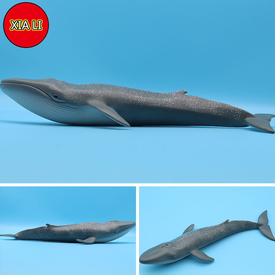 Ocean Sea Life Simulation Kill - Marine Life Aquariums のレビューと価格