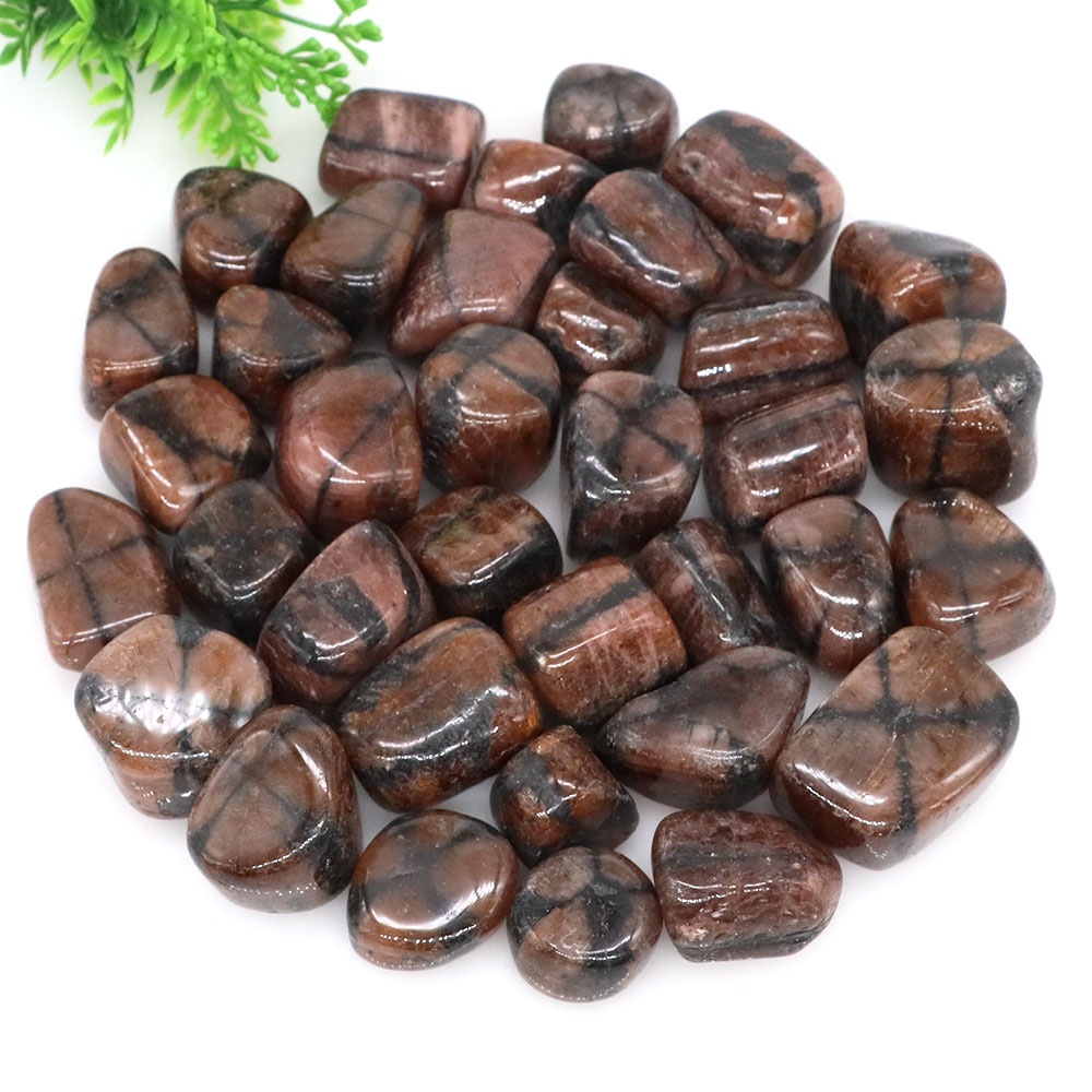 Natural Cross Chiastolite Quar - Aquarium Marine Stone のレビューと価格