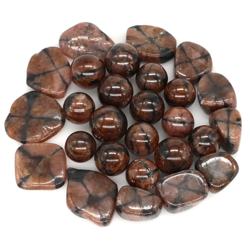 Natural Cross Chiastolite Quar - Aquarium Marine Stone のレビューと価格