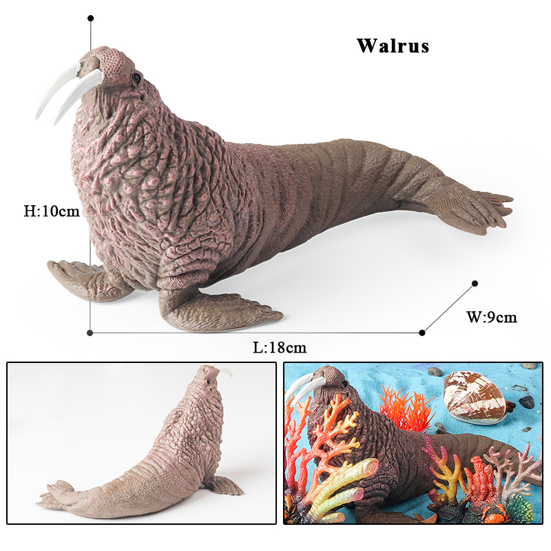 Oenux New Sea Life Seal Sea li - Marine Life Aquariums のレビューと価格