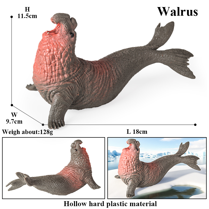 Oenux New Sea Life Seal Sea li - Marine Life Aquariums のレビューと価格