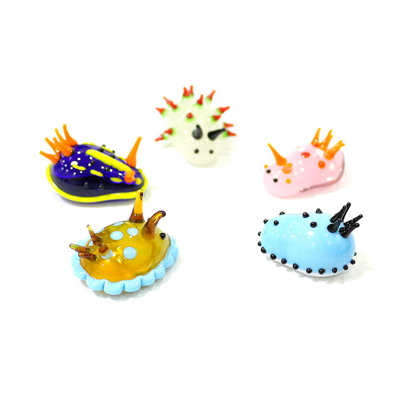 Rare Cute Mini Marine Molluscs - Marine Aquarium Japan のレビューと価格
