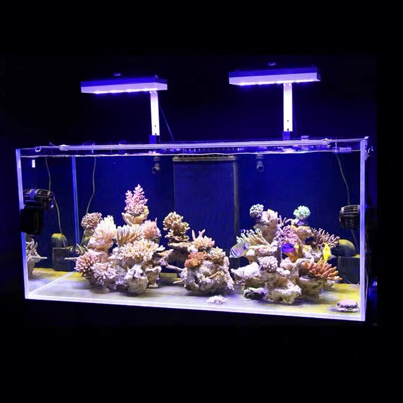 Aqua Illumination AI Hydra 32H - Marine Aquarium Led Lights のレビューと価格