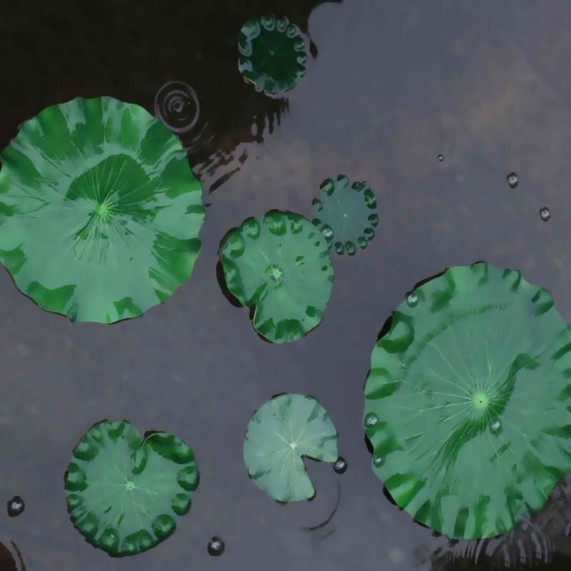 2026 Artificial Water Lily Lot - Marine Aquarium Tanks のレビューと価格