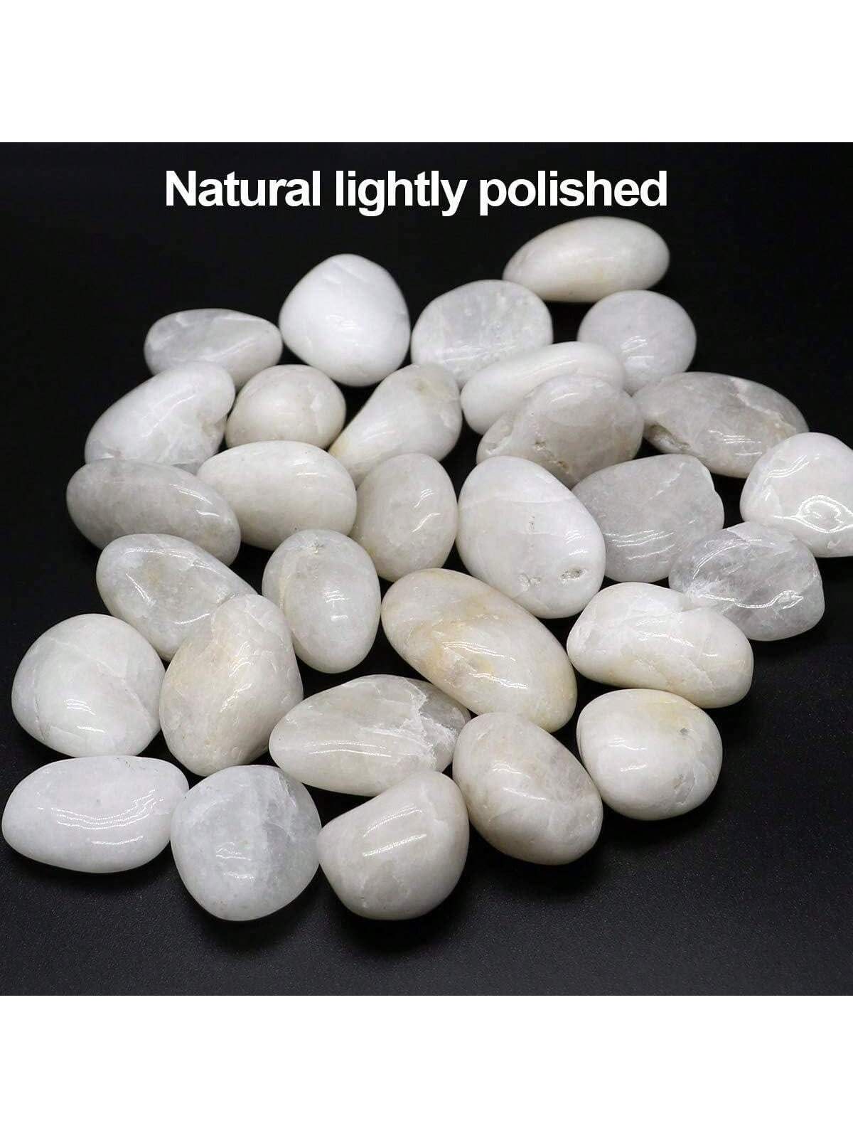 River Rocks Decorative Ornamen - Marine Aquarium Tanks のレビューと価格