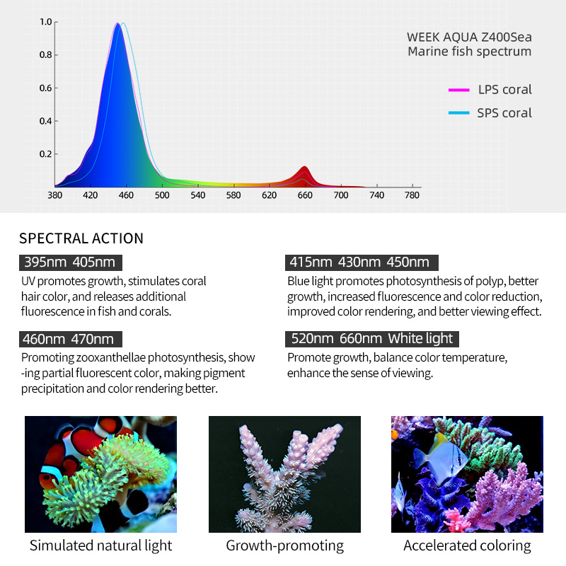 ZXY Hot Sale WEEKAQUA Z250 Z40 - Marine Aquarium Led Lights のレビューと価格