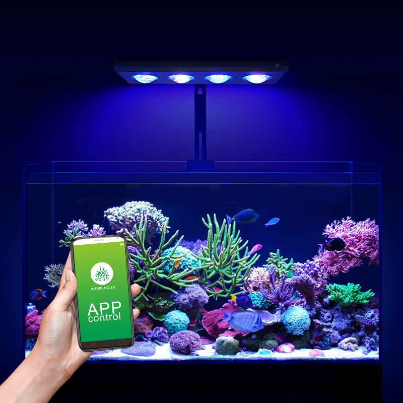 ZXY Hot Sale WEEKAQUA Z250 Z40 - Marine Aquarium Led Lights のレビューと価格