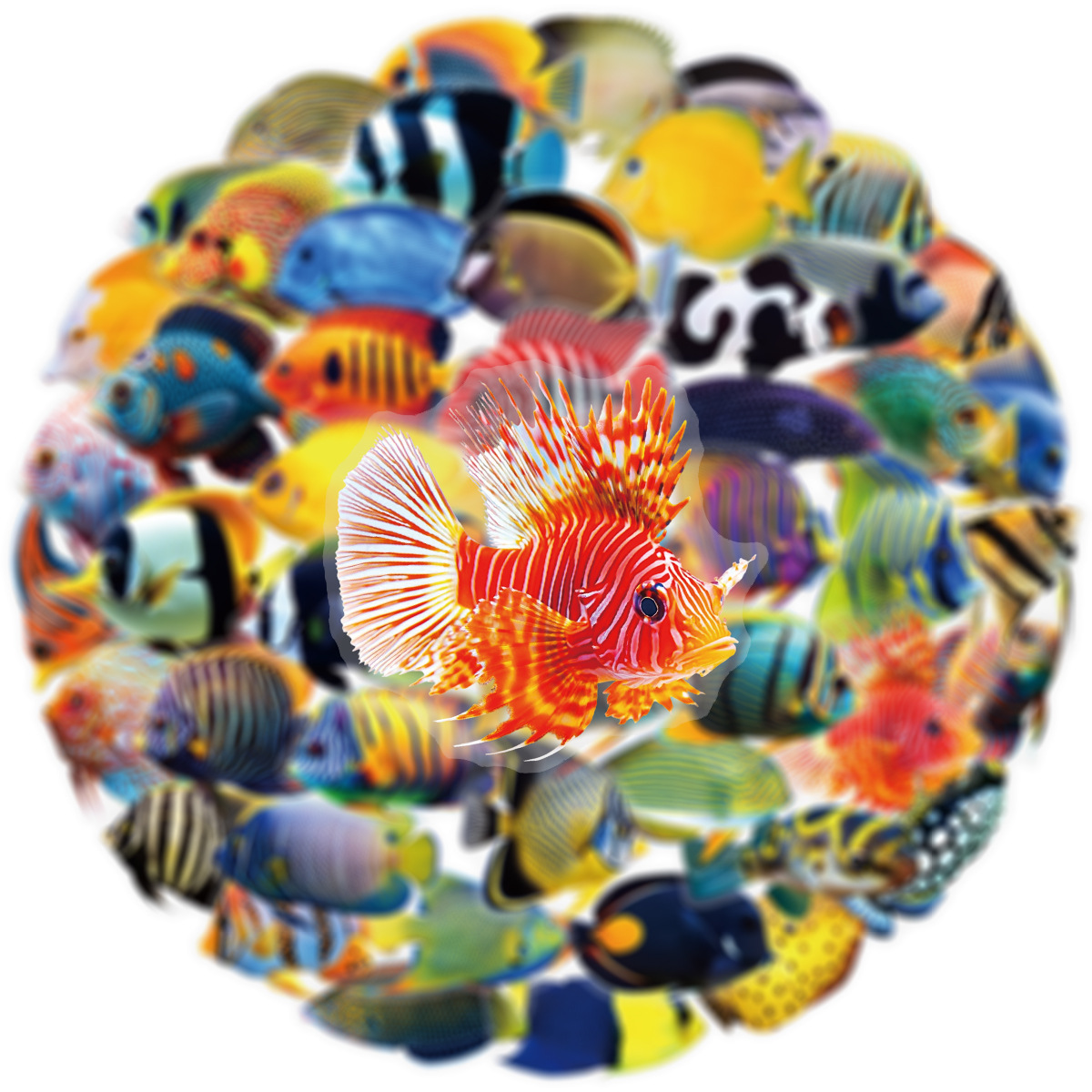 50/100 Pcs PET Transparent Mar - Marine Aquarium & Regional Centre のレビューと価格
