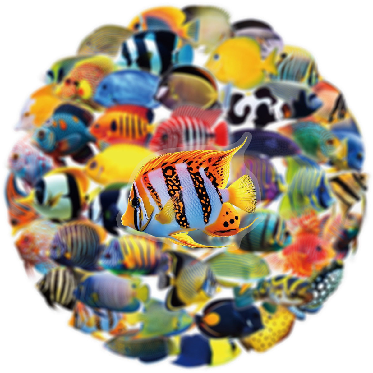 50/100 Pcs PET Transparent Mar - Marine Aquarium & Regional Centre のレビューと価格