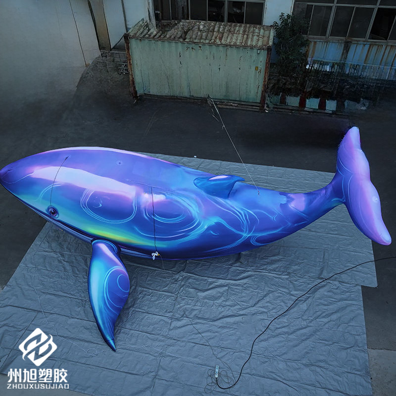 Inflatable blue whale, used as - Marine Life Aquariums のレビューと価格