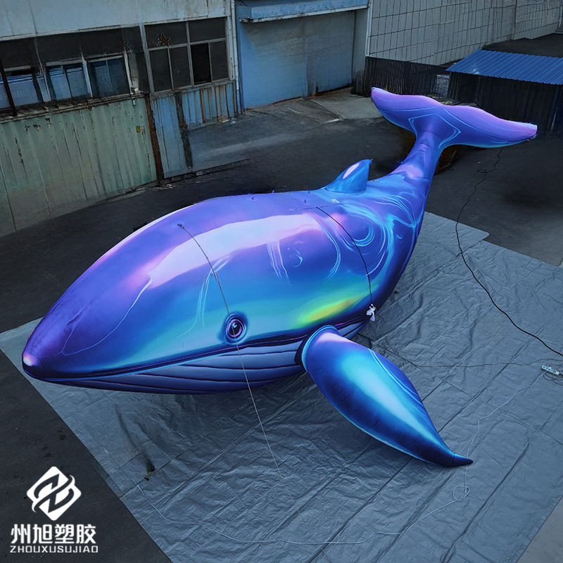 Inflatable blue whale, used as - Marine Life Aquariums のレビューと価格