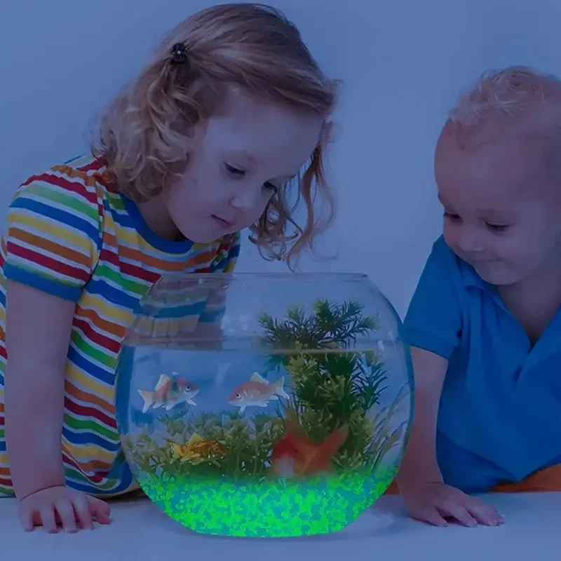 1000pcs 3-5mm Luminous Sand Gl - Marine Aquarium Tanks のレビューと価格