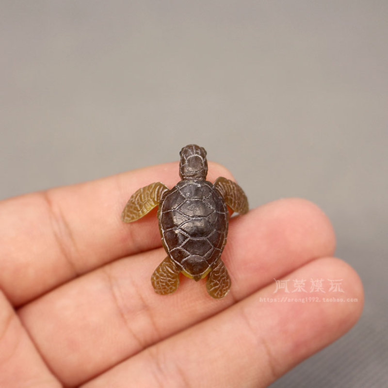 Marine Life Sea Turtle Model O - Marine Aquarium Japan のレビューと価格