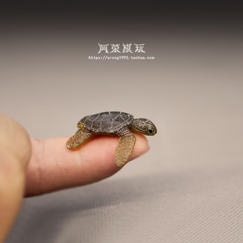 Marine Life Sea Turtle Model O - Marine Aquarium Japan のレビューと価格