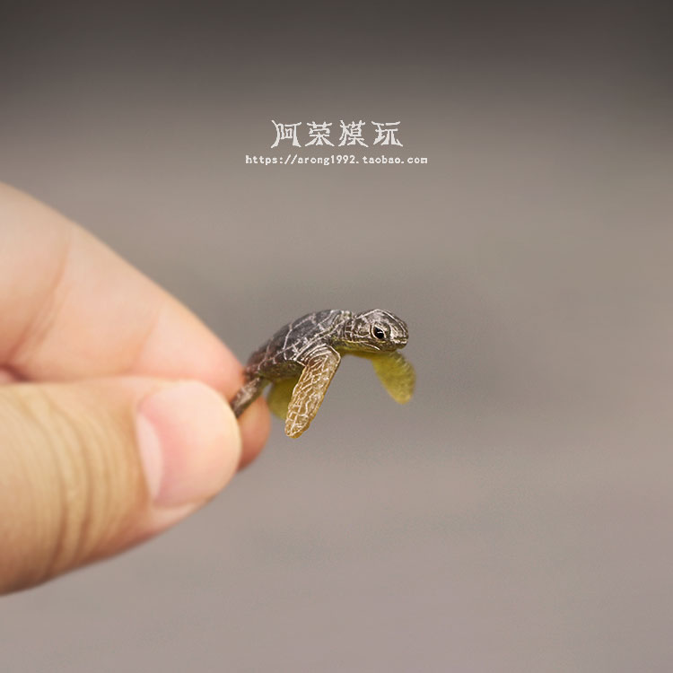 Marine Life Sea Turtle Model O - Marine Aquarium Japan のレビューと価格