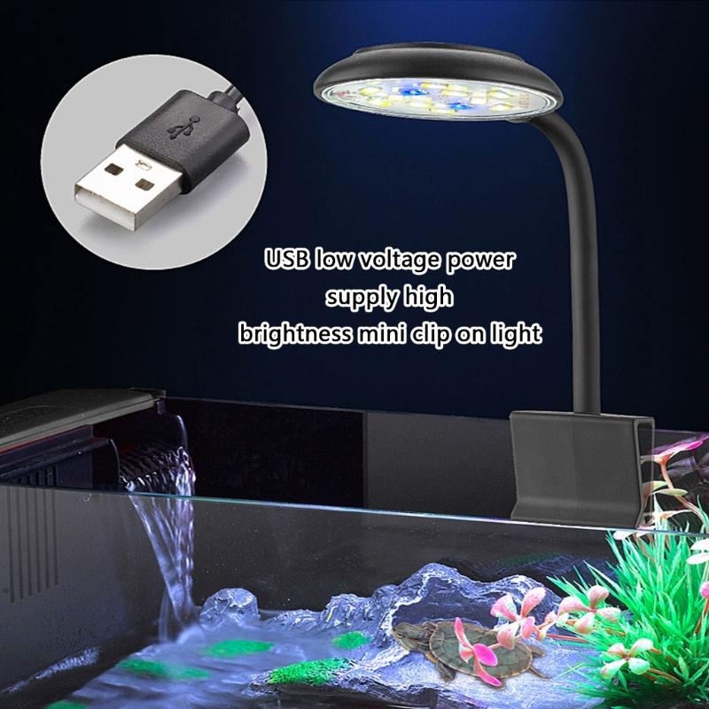 Adjusting Brightness LED Aquar - Marine Life Aquariums のレビューと価格
