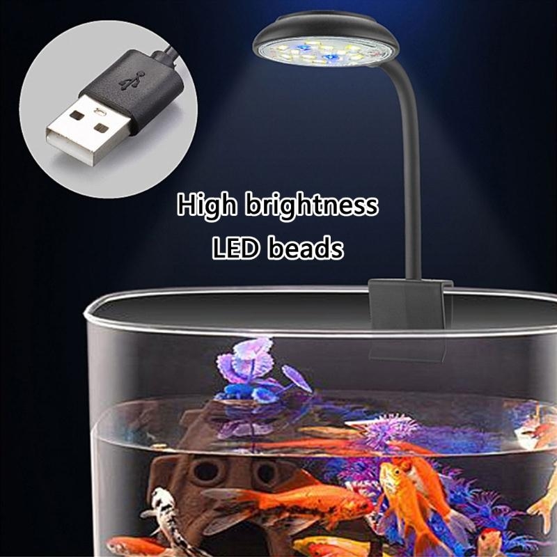 Adjusting Brightness LED Aquar - Marine Life Aquariums のレビューと価格