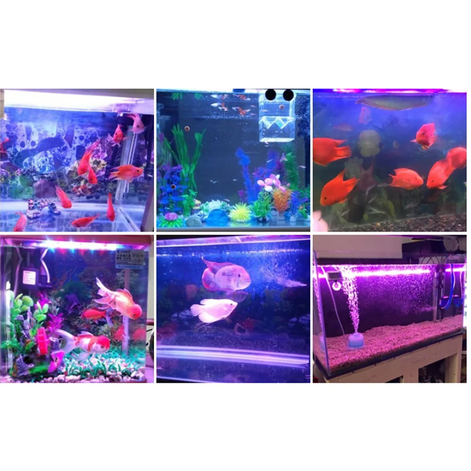 50W 60W 70W 100W RGB 26-28V Hi - Marine Aquarium Led Lights のレビューと価格