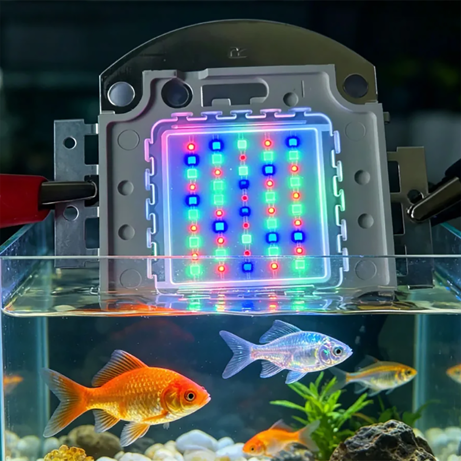 50W 60W 70W 100W RGB 26-28V Hi - Marine Aquarium Led Lights のレビューと価格