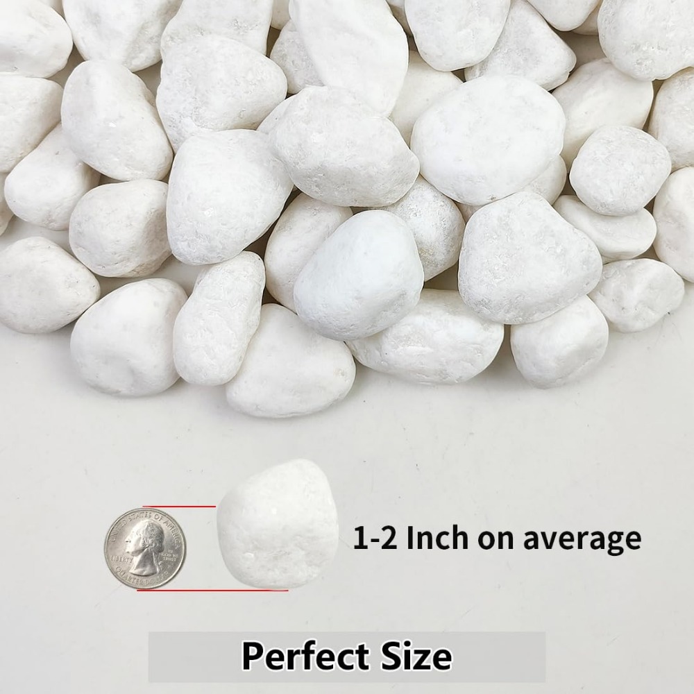 1-2 Inch White Pebbles for Ind - Marine Aquarium Tanks のレビューと価格