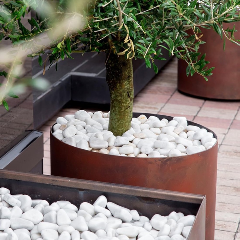 1-2 Inch White Pebbles for Ind - Marine Aquarium Tanks のレビューと価格