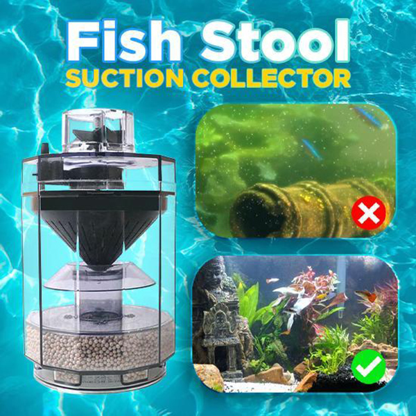 Fish Tank Waste Collector Tran - Marine Aquarium Overflow のレビューと価格