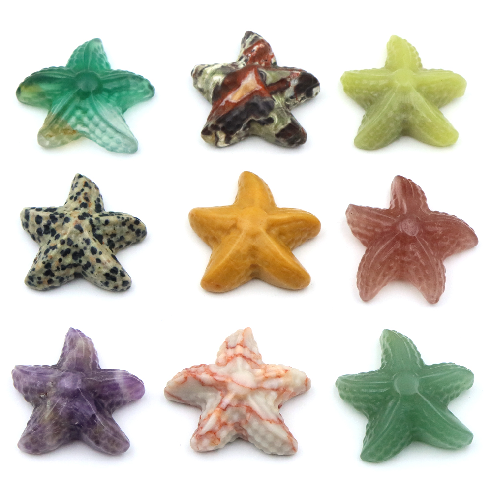 35mm Starfish Shape Statue Mar - Marine Aquarium & Regional Centre のレビューと価格