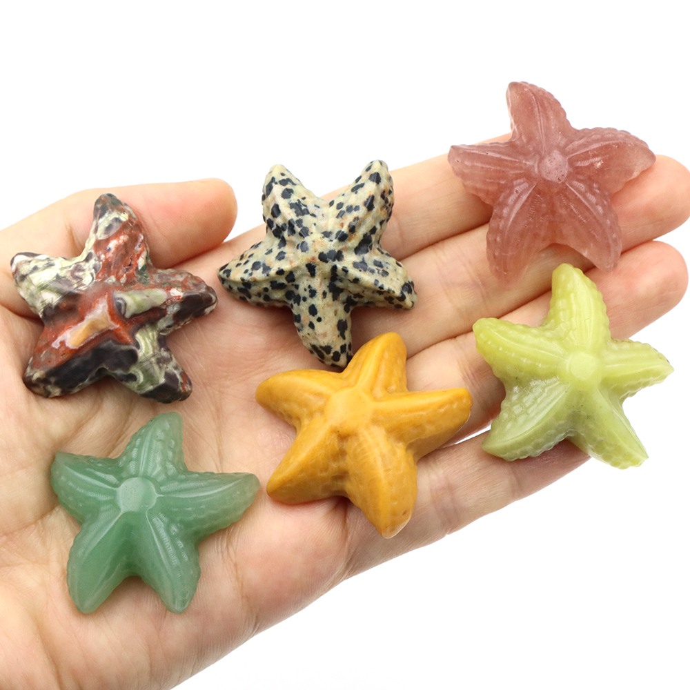 35mm Starfish Shape Statue Mar - Marine Aquarium & Regional Centre のレビューと価格
