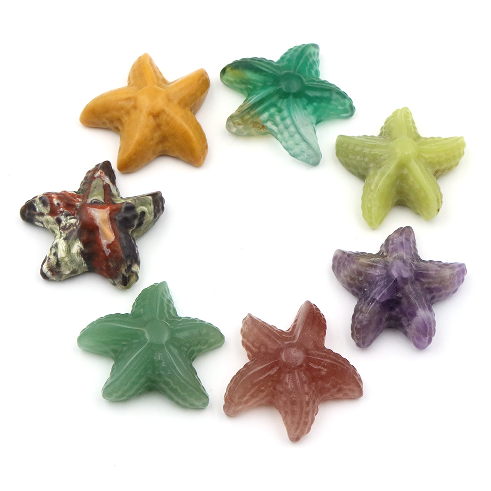 35mm Starfish Shape Statue Mar - Marine Aquarium & Regional Centre のレビューと価格
