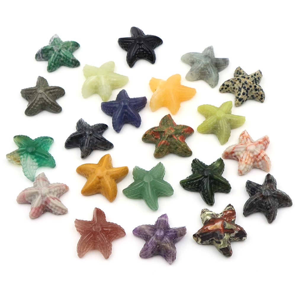 35mm Starfish Shape Statue Mar - Marine Aquarium & Regional Centre のレビューと価格
