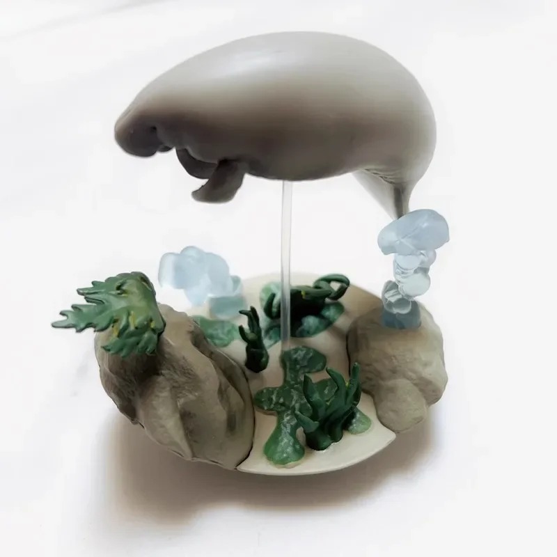 QUALIA Kawaii Gashapon Figure  - Marine Aquarium Japan のレビューと価格
