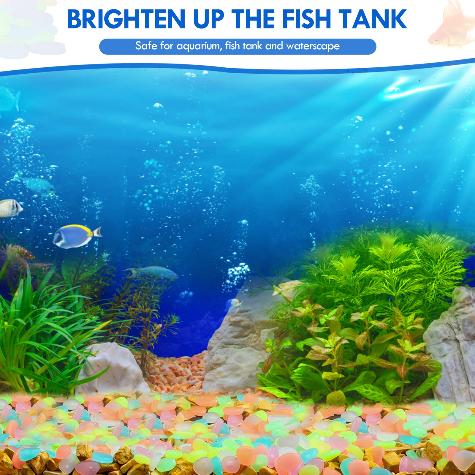 100Pcs Glow in the Dark Garden - Marine Aquarium Tanks のレビューと価格