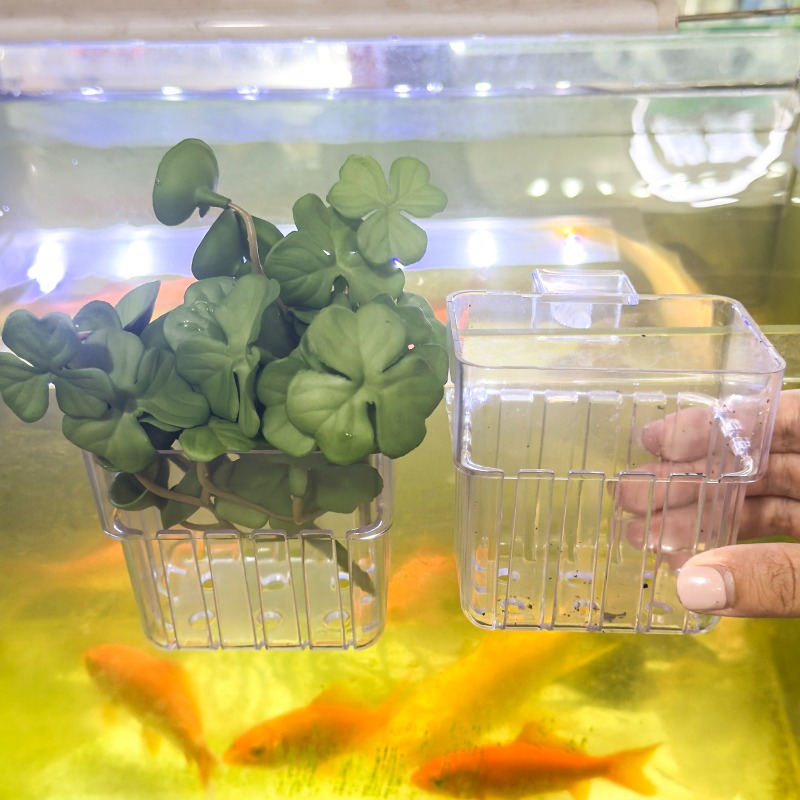 1/5pcs Aquarium Decoration Pla - Marine Aquarium Tanks のレビューと価格